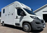 THEAULT FIRSTÉO HÄSTBIL - HORSEPARTNER