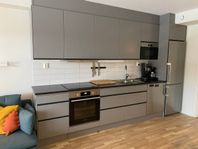Bostad uthyres - lägenhet i Åre - 3 rum, 52m²