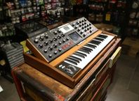 Begagnad Moog Voyager Performer hos Musikbörsen i Göteborg