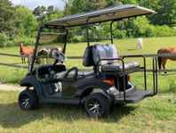 Golfbil Eagle EG202 Leisure Li, 2025