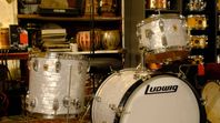 Ludwig Classic Maple WMP