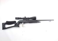 Ruger 10/22 (1)