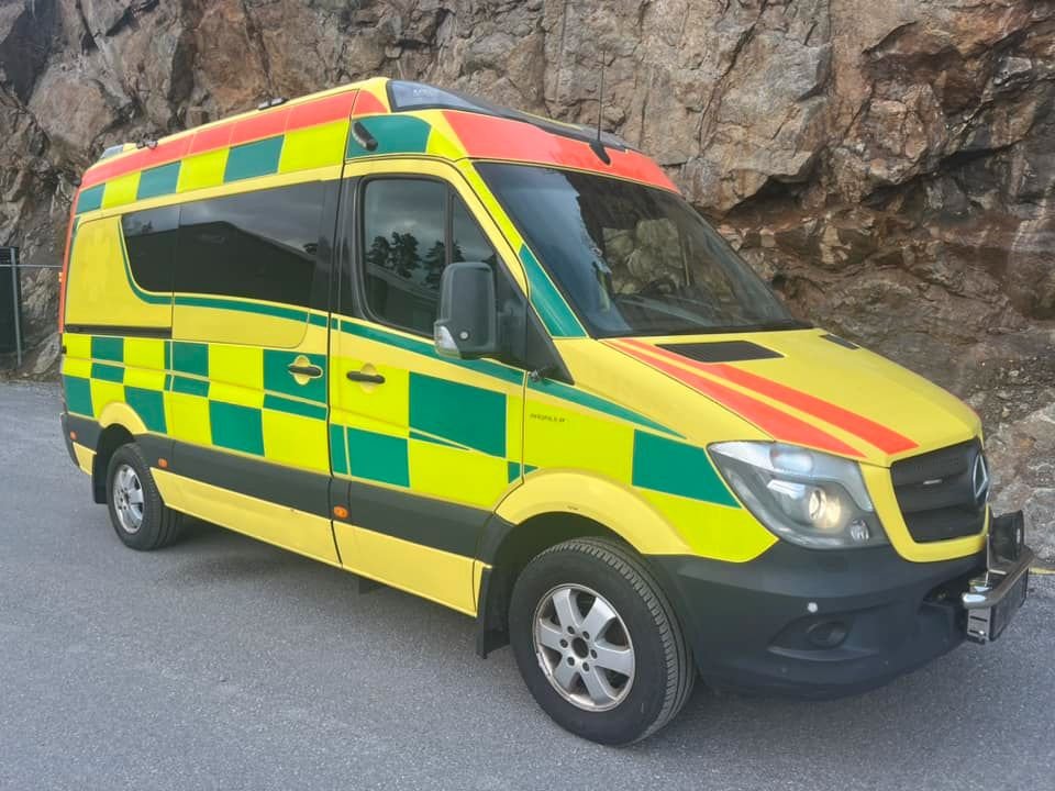 Mercedes-Benz Sprinter 319 Bl...
