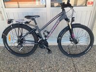 Beg Crescent Feima, 26"-hjul, 24-vxl