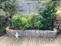 Bostad uthyres i Hisings Backa - 1 rum, 20m²