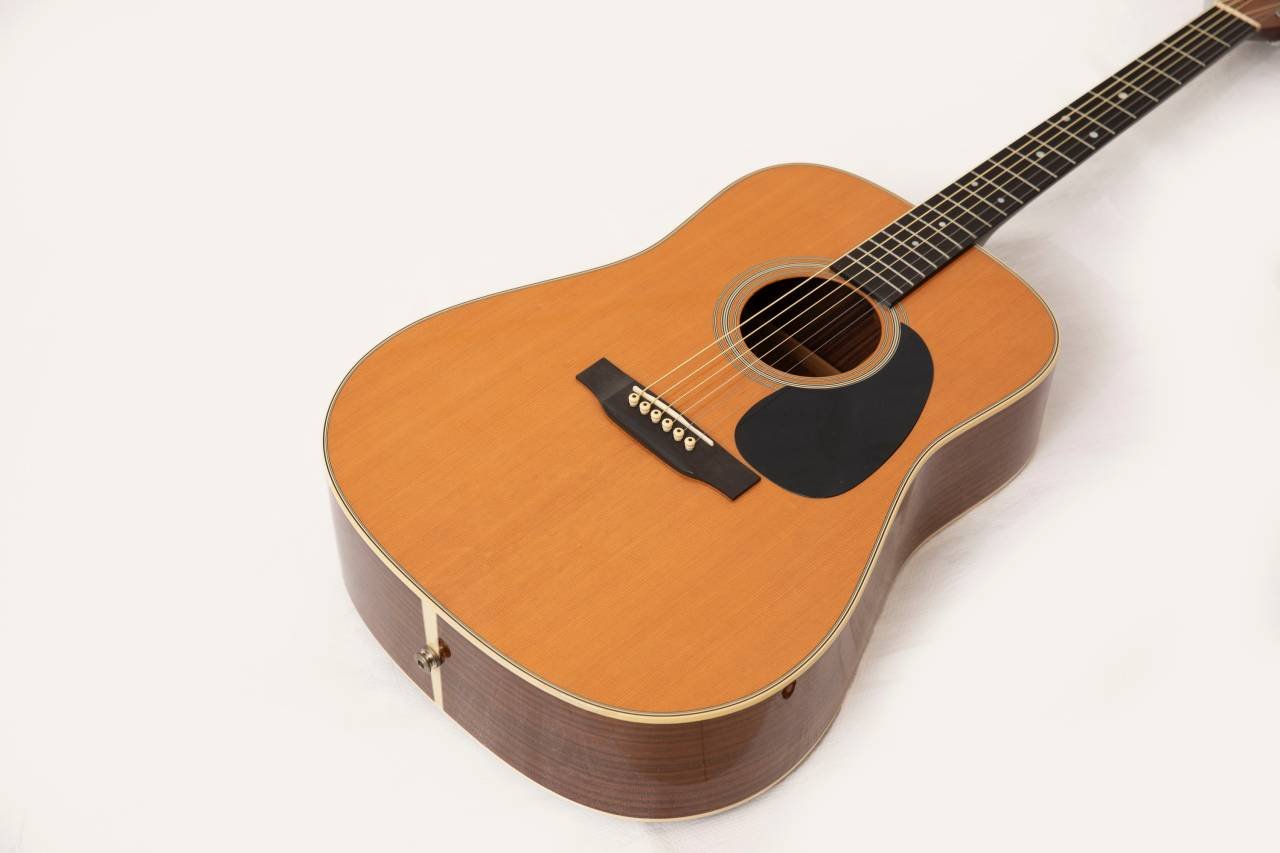 Martin D-28 - 2008 - 175th An...