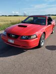Ford Mustang GT Convertible GT 264Hk  "8800mil!"