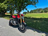 Ducati Monster SP termignoni