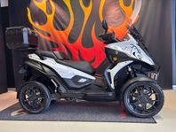 Quadro QOODER STEINBOCK