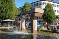 Restaurang nära stortorget i Örebro !
