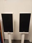 ProAc Response D2