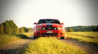 Ford Mustang V6