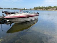 Sea Ray Sun Sport