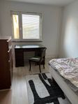 Rum uthyres - lägenhet i Västra Frölunda - 1 rum, 12m²