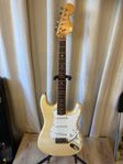 Fernandes Stonelogo strat