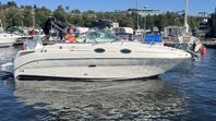 Sea Ray 255 2010 Yanmar diesel 260 hk -10