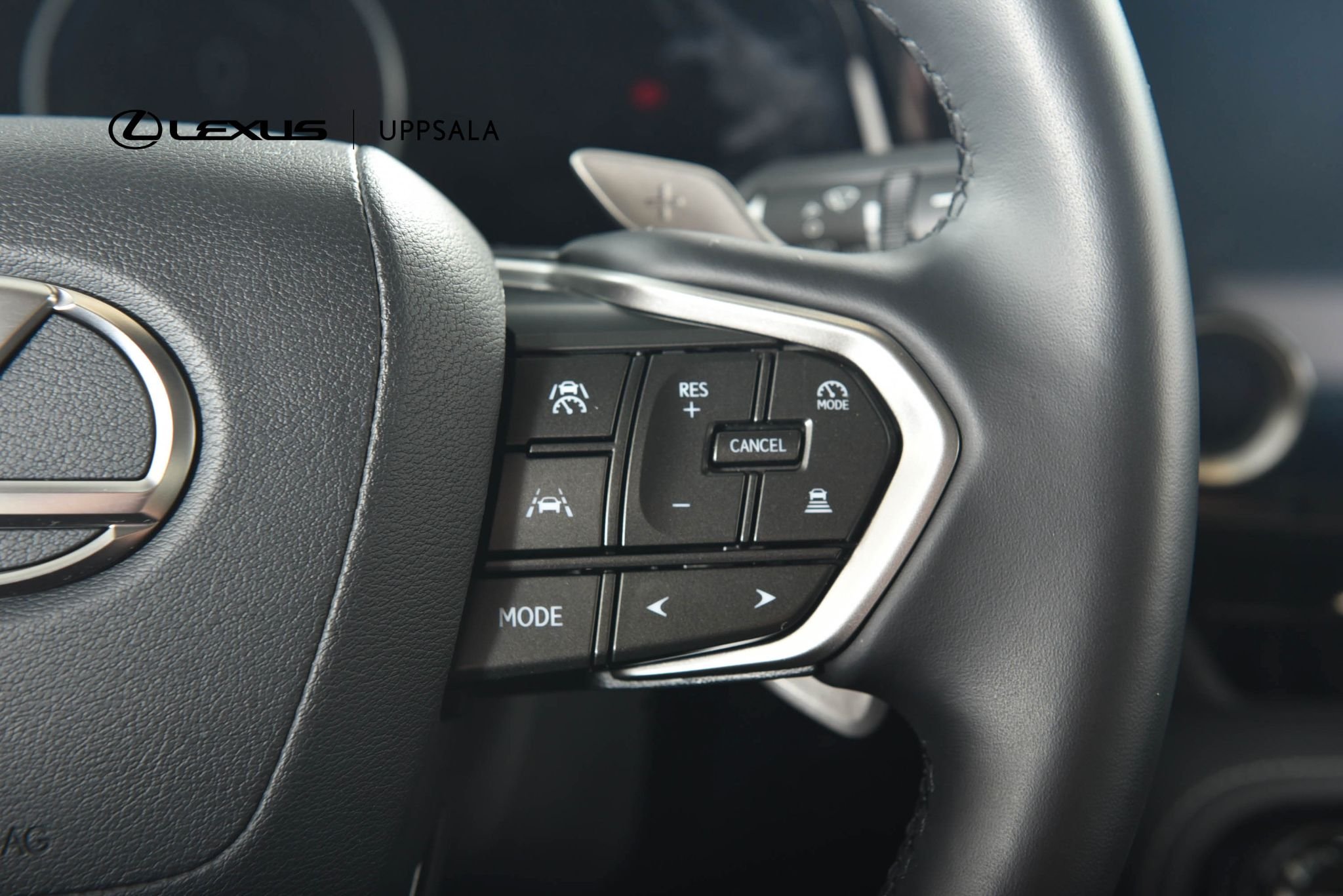 Lexus NX 350h E-CVT, 242hk, 2024