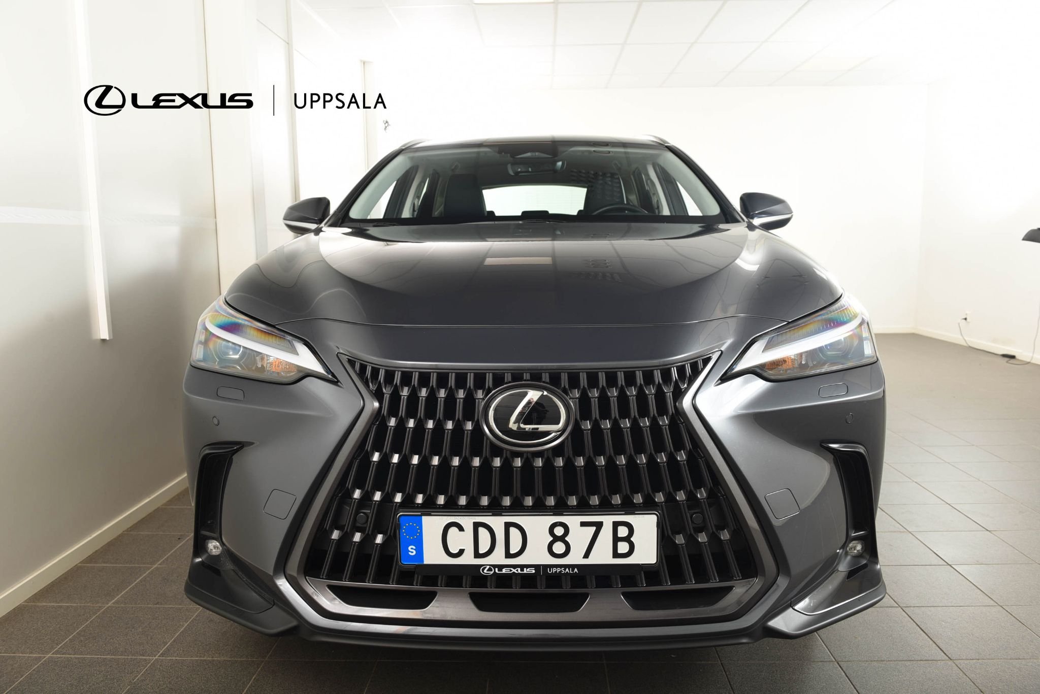 Lexus NX 350h E-CVT, 242hk, 2024