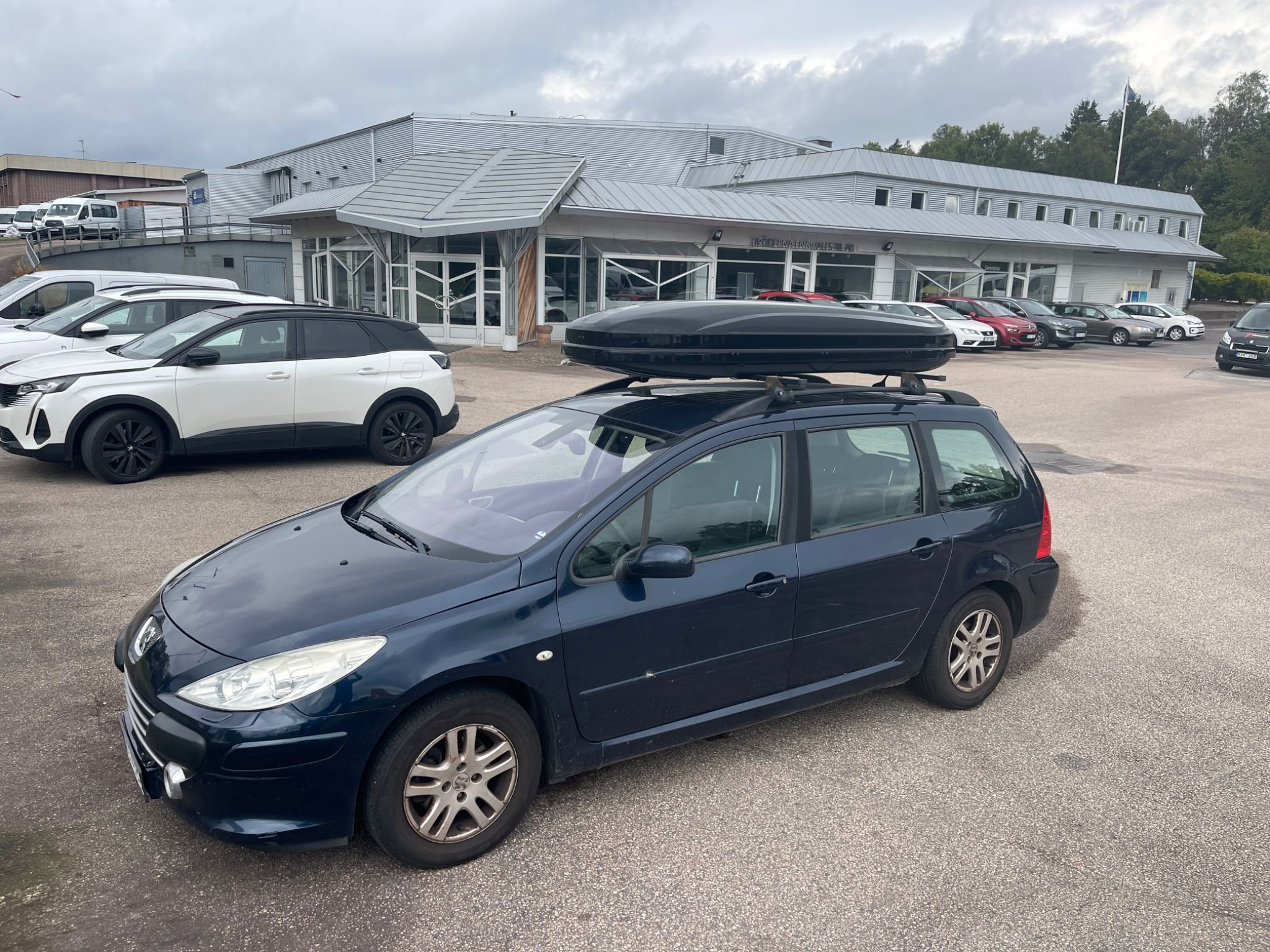 Peugeot 307 Break 1.6 Bioflex Manuell, 109hk, 2008