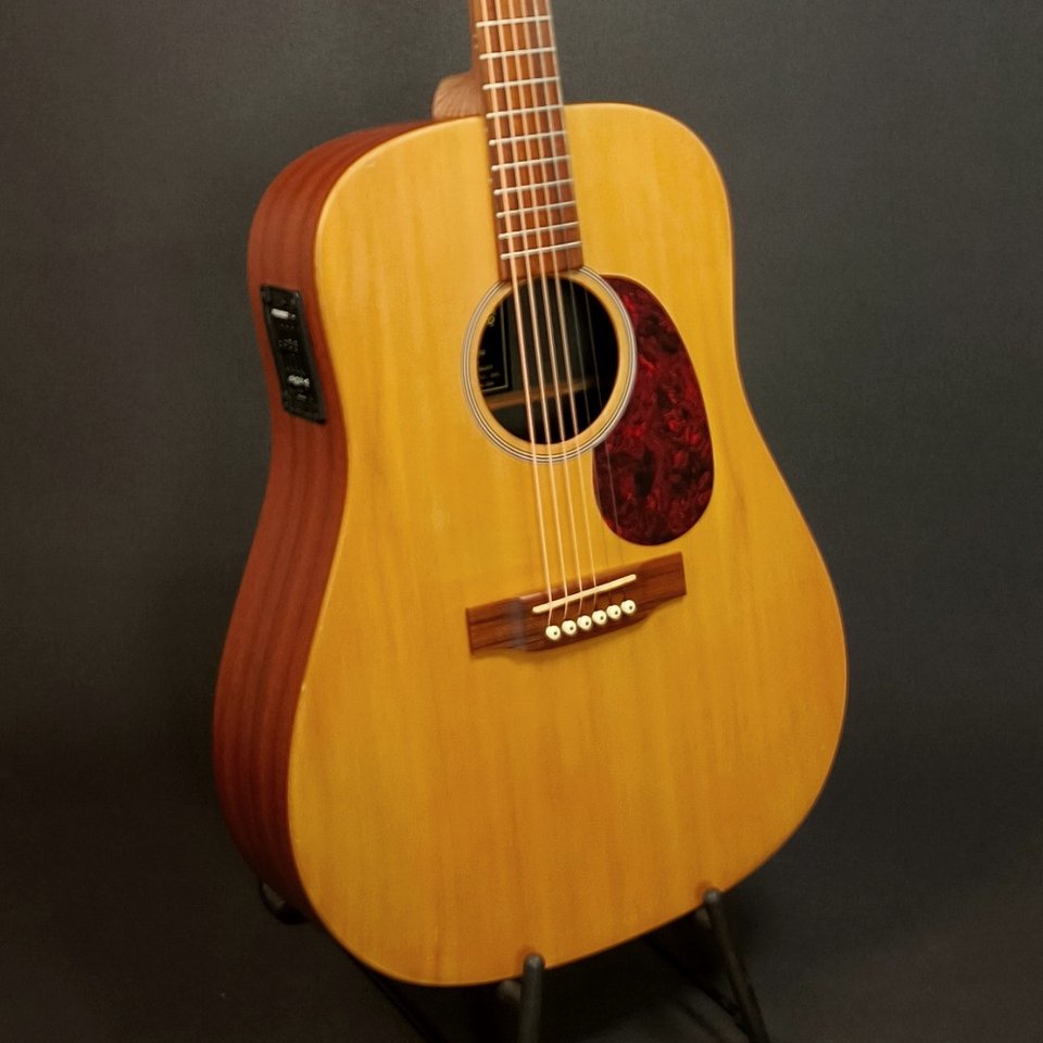 Martin DX1 - 2009 - Fishman p...