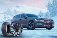 Avalon Nordic vinterfälgar AN-2 G-P 16-17"