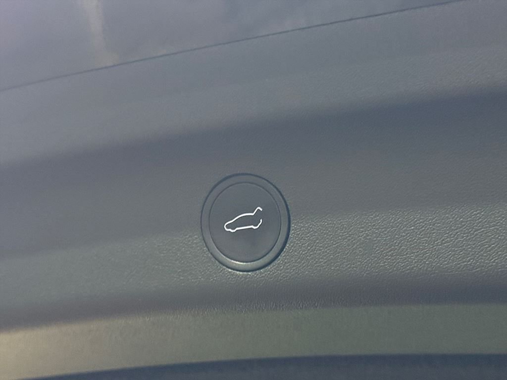 Tesla Model Y Performance, 534hp, 2024