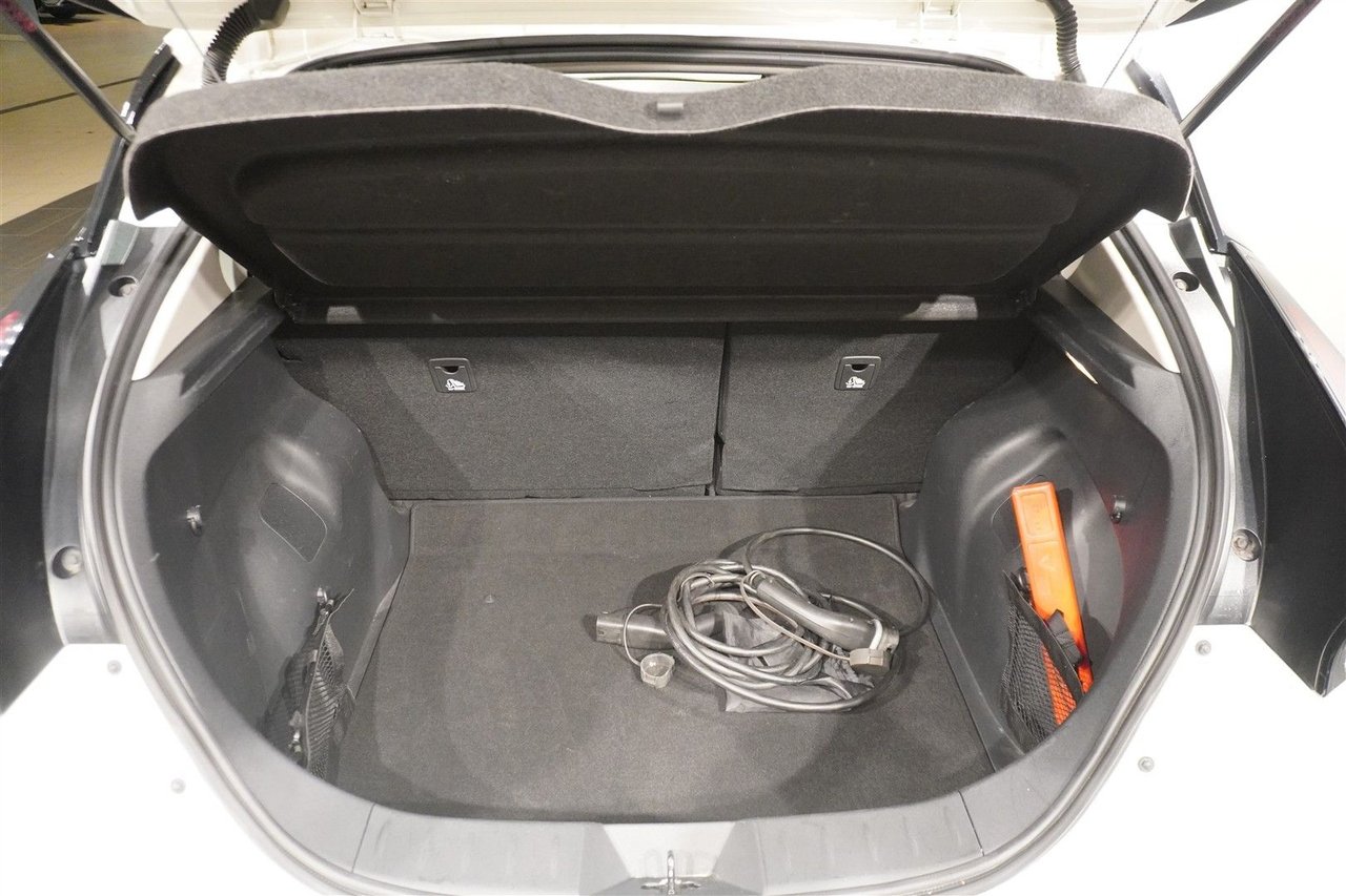 Nissan Leaf e+, 217hp, 2021