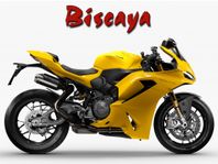 Ducati Panigale V2 S