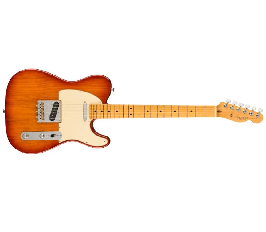 Elgitarr Fender American Prof...