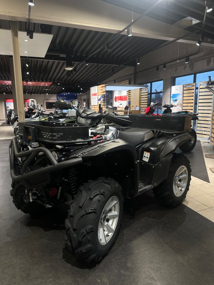 Yamaha GRIZZLY 700 25th anniv...