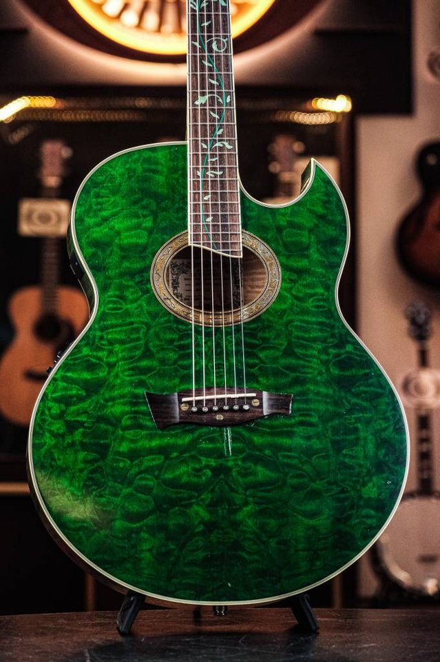 2004 Ibanez Euphoria Steve Va...