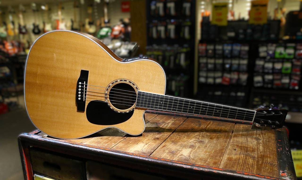 Martin & Co JC-16GTE Premium ...
