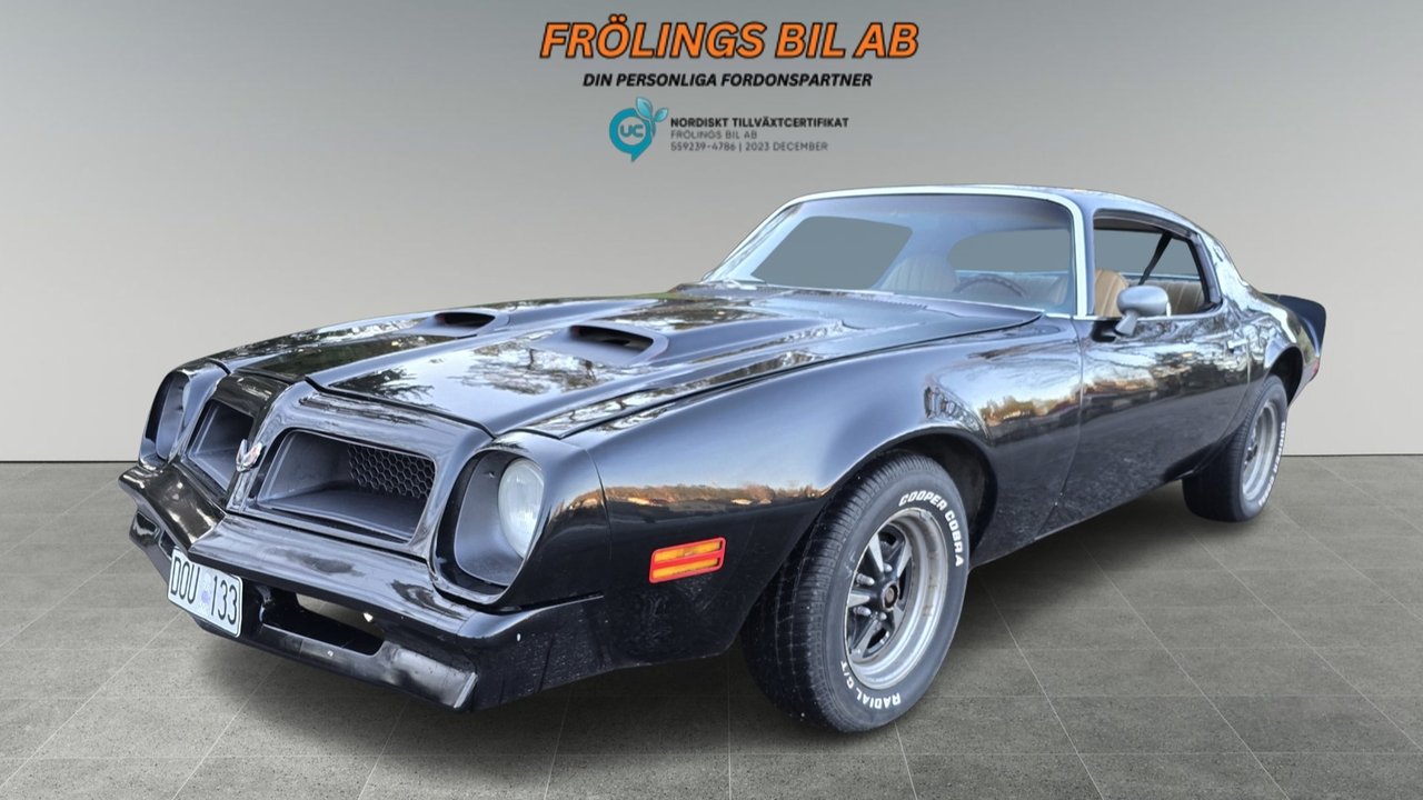 Pontiac Firebird Formula Pigg...