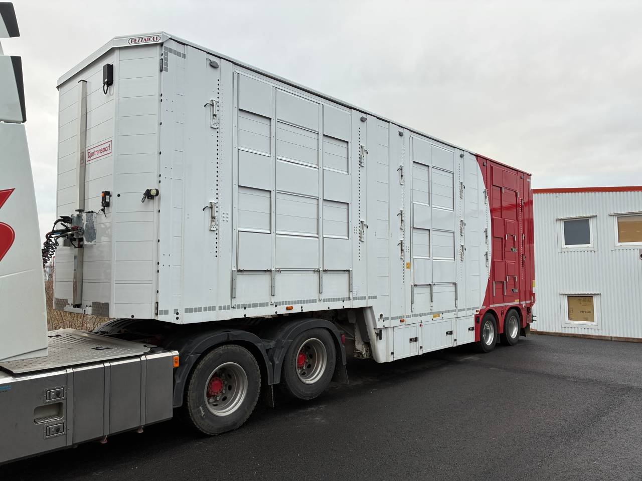 Djurtrailer Pezzaioli 2-axl c...