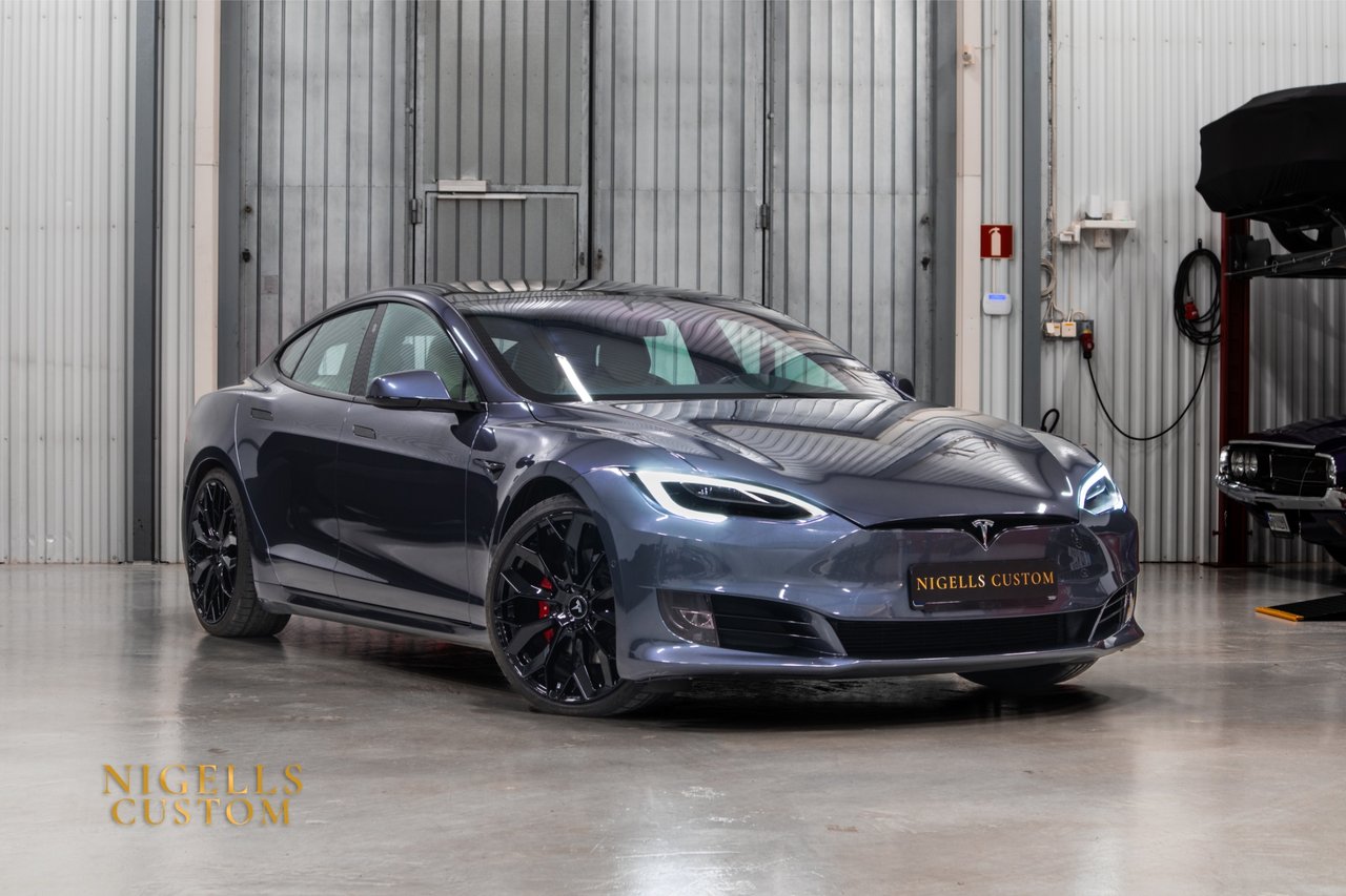Tesla Model S Performance Lud...