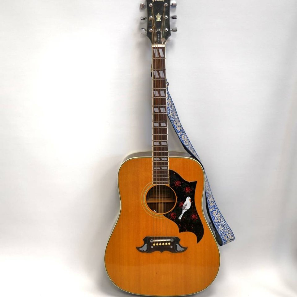 Akustisk gitarr Ibanez Concor...