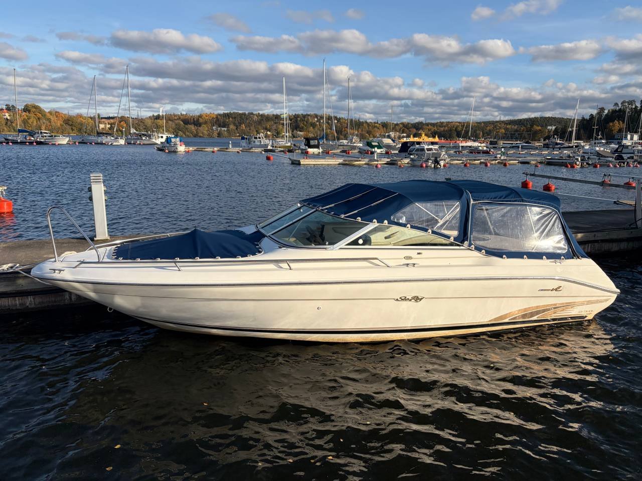 Sea Ray 230 Signature BR Merc...