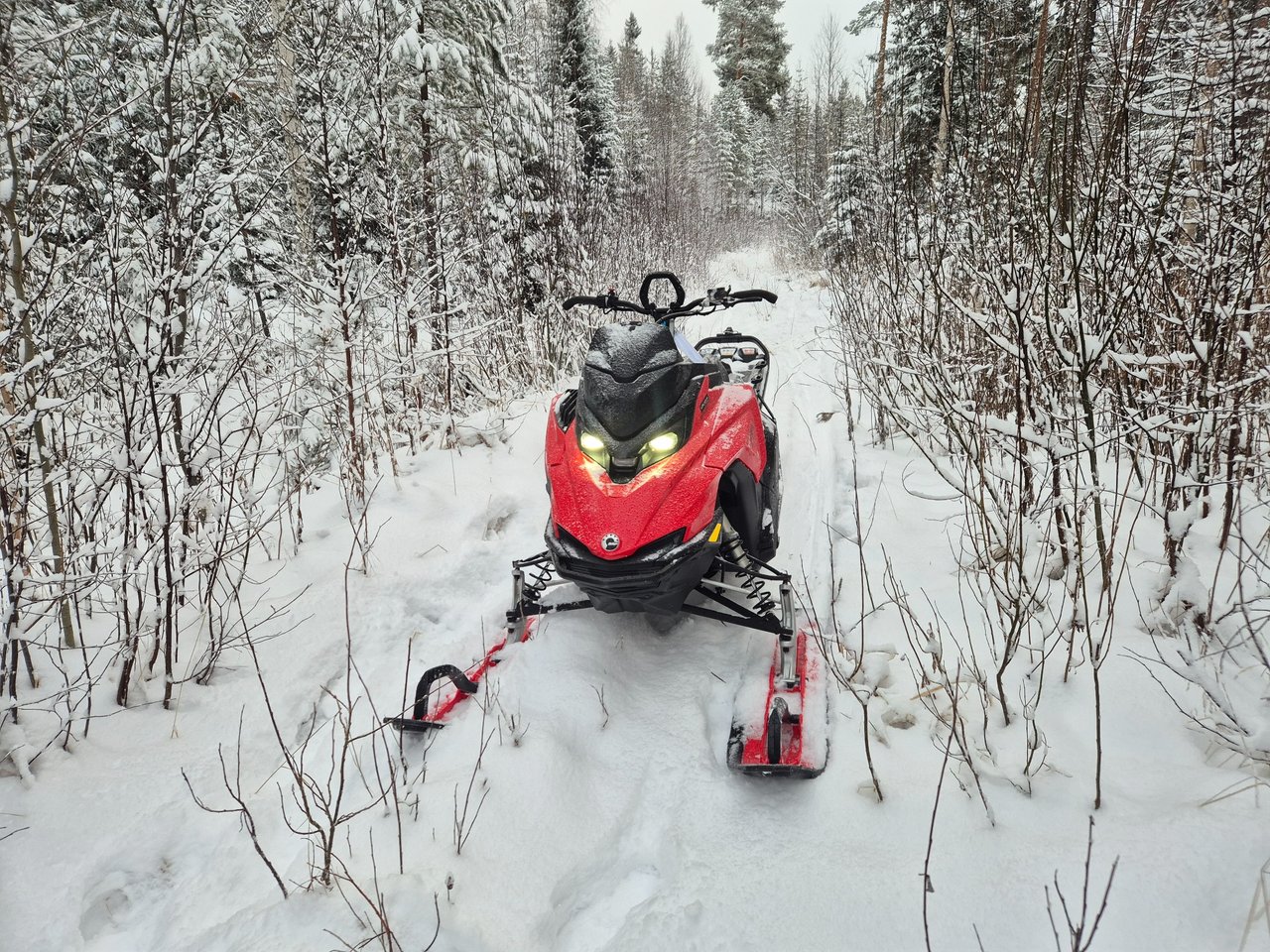 Lynx Shredder  Std 600r E-tec