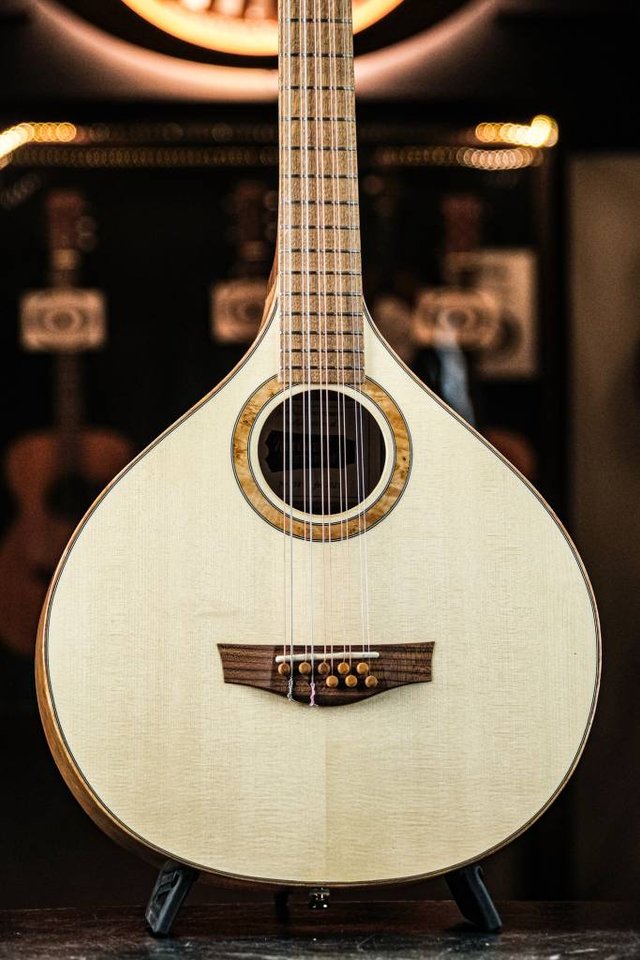 2025 Nordwall Medium Cittern ...