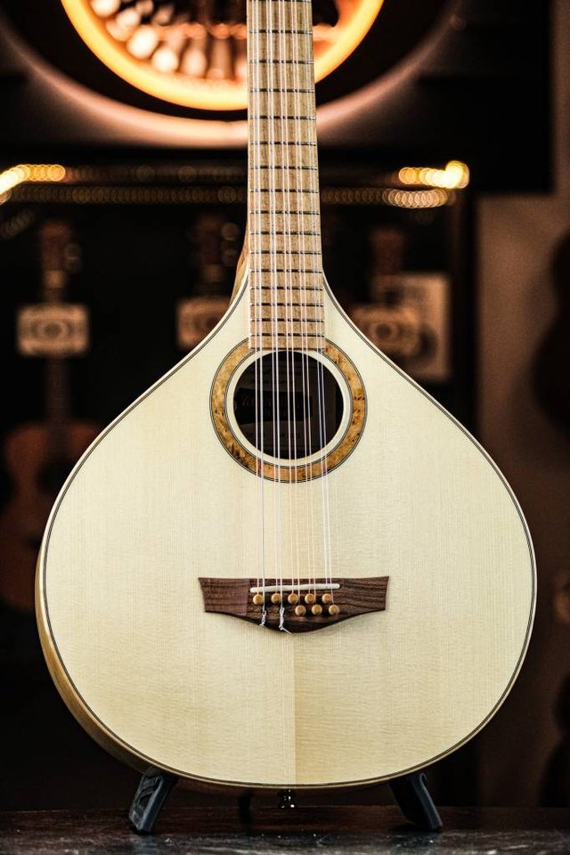 2025 Nordwall Medium Cittern ...