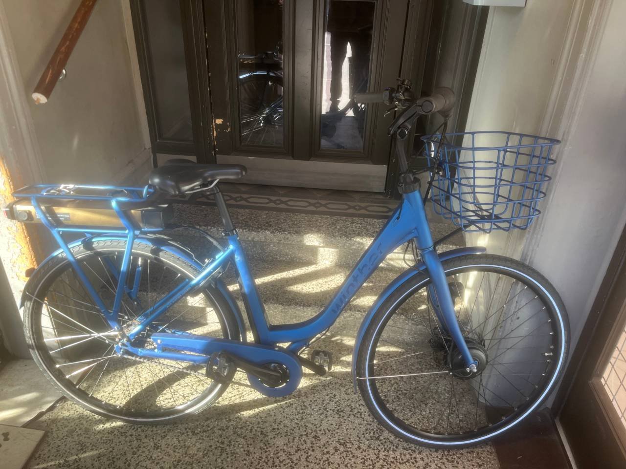 Blå Winther superb 1,2024