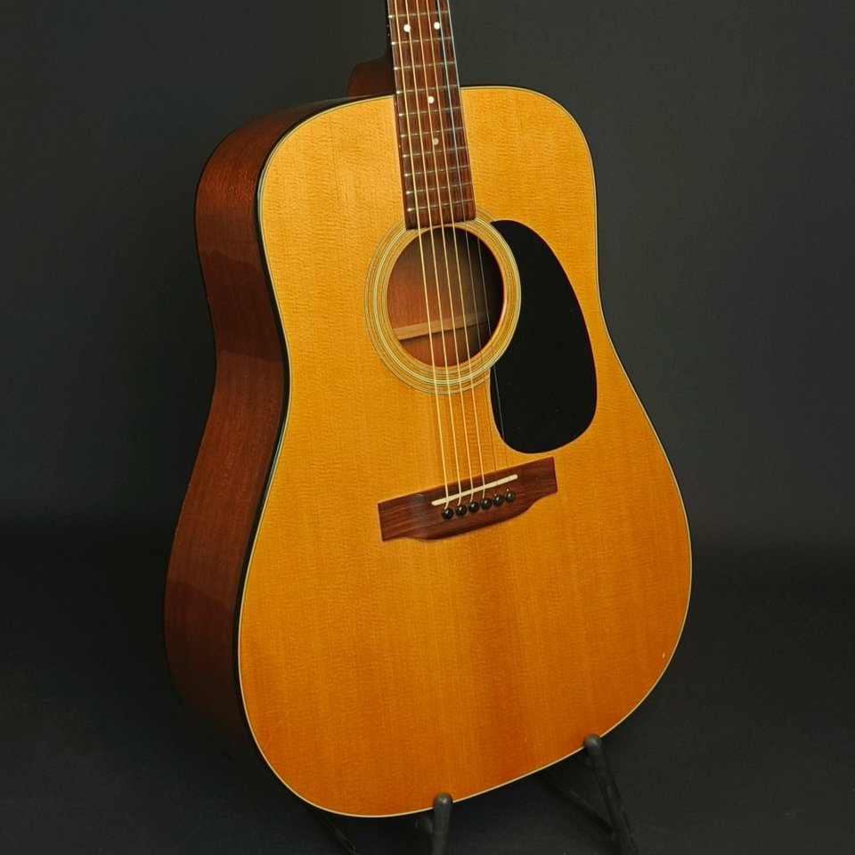 Martin D-18- 1996