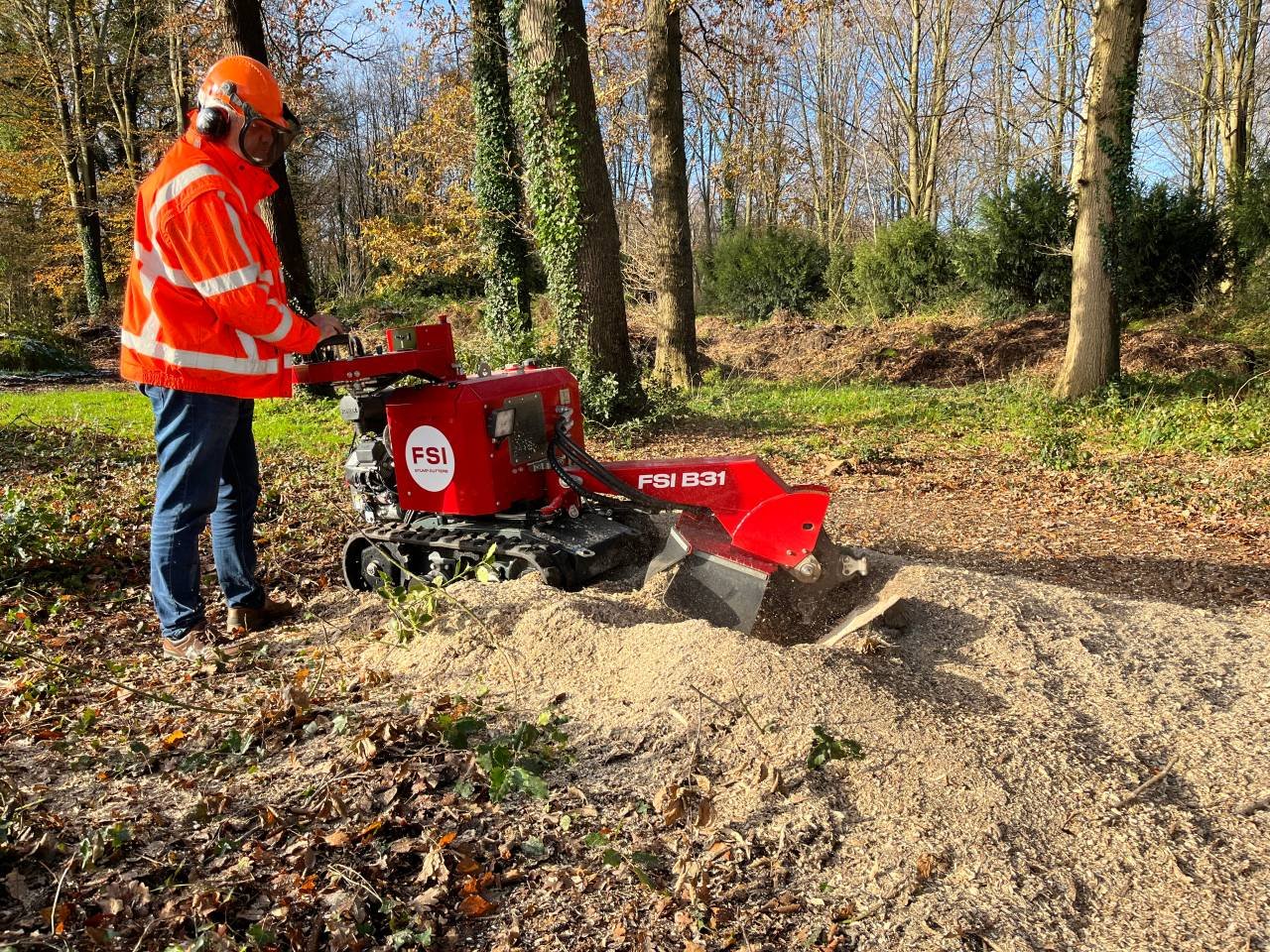 Stubbfräs FSI B31