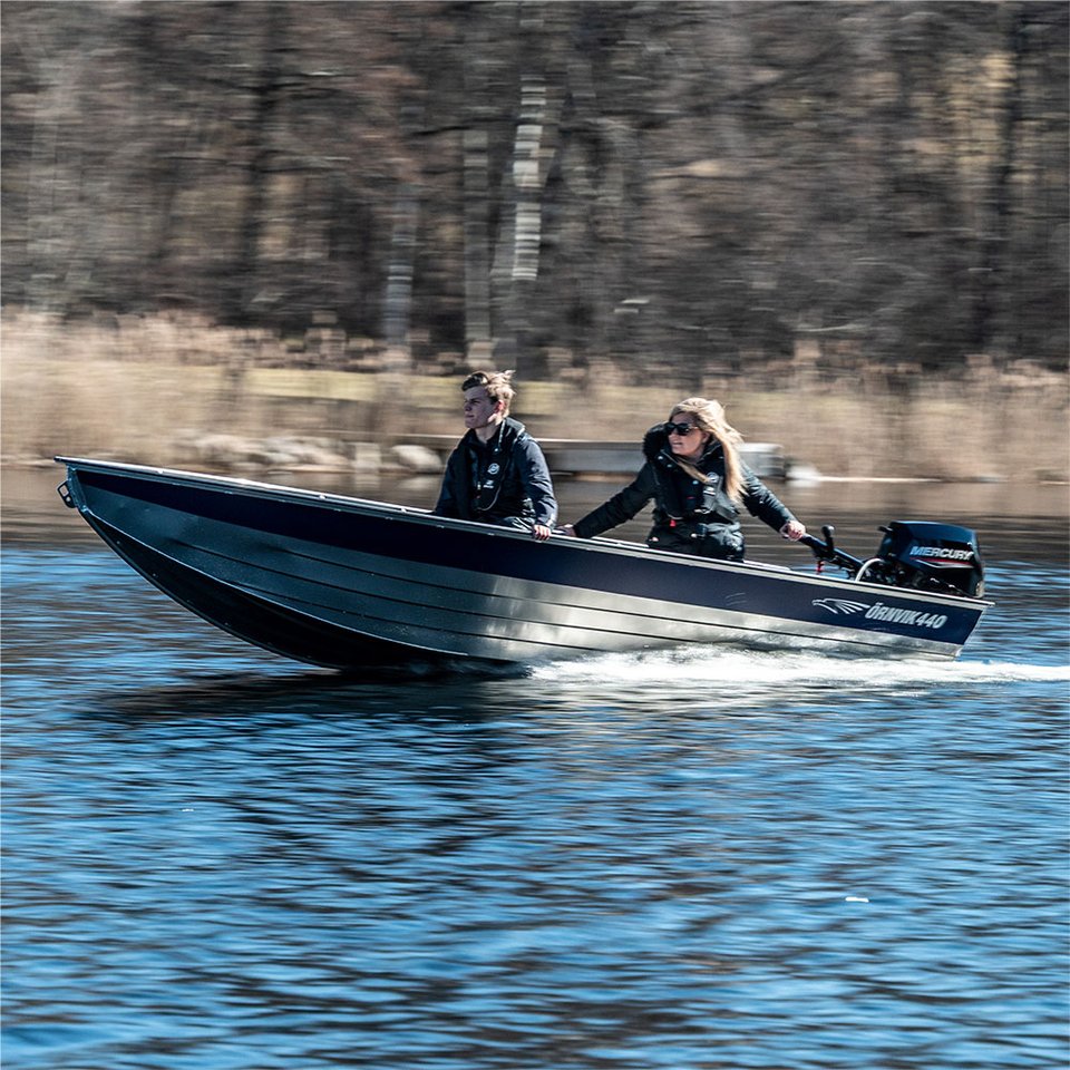 Örnvik 440