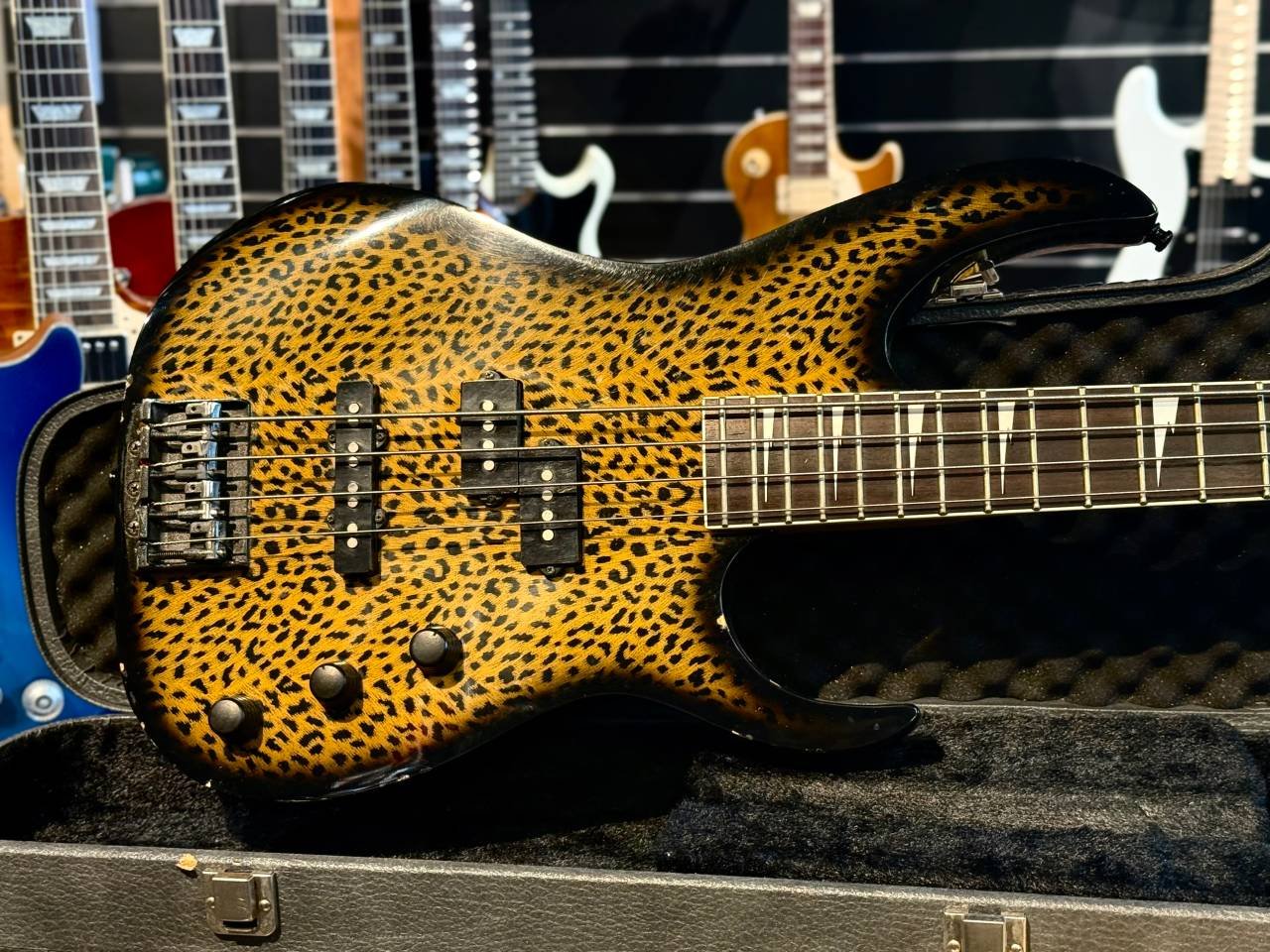 Ibanez RG Bass Feline Limited...