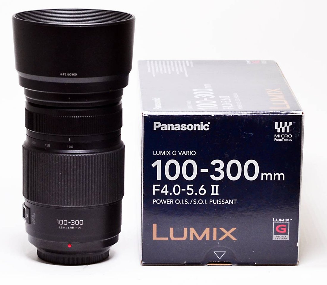 Panasonic AF 100-300/4,0-5,6 ...
