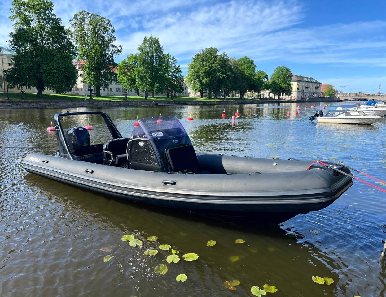 Brig Eagle 780 -2014 | Evinru...