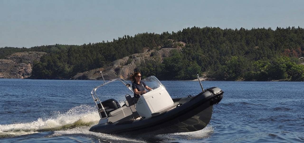 Agapi 655 RIB – 2009 – Suzuki...