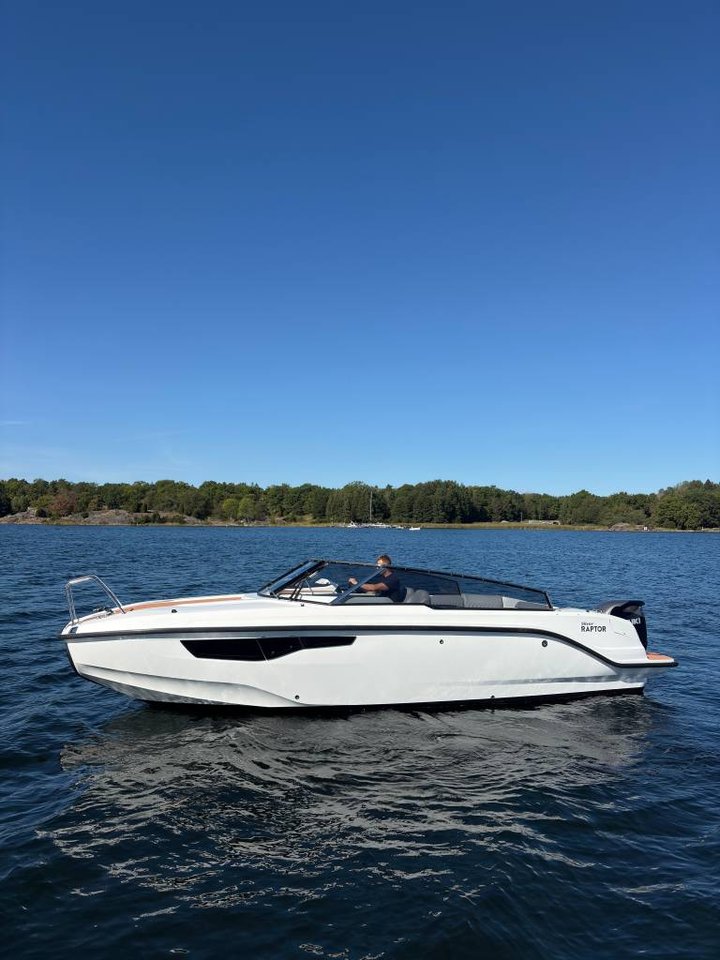 Silver Raptor -19 uttagen 20 ...