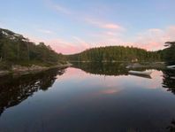 Idyllisk eko sommarstuga mitt i naturen precis vid sjökanten